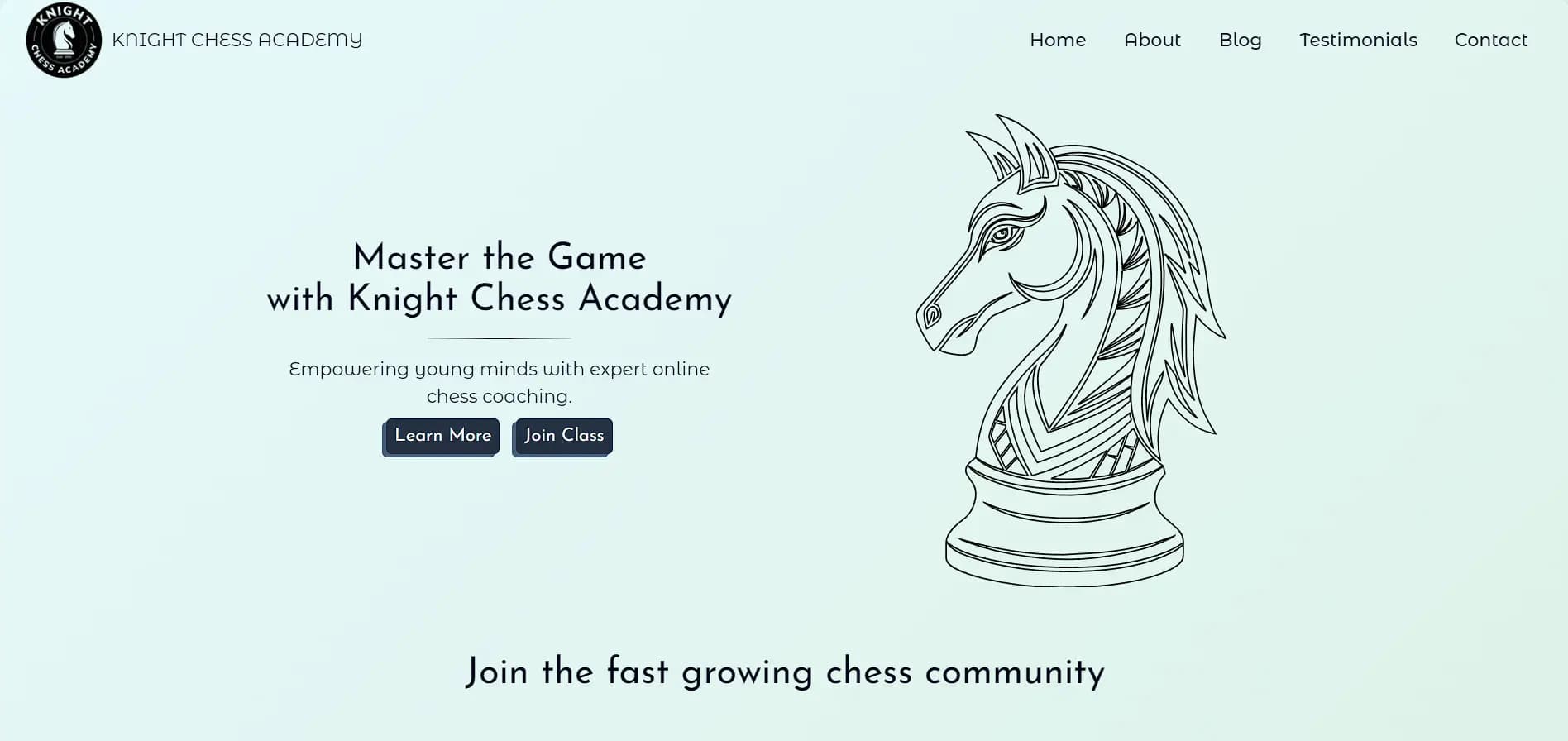 Knight Chess Academy